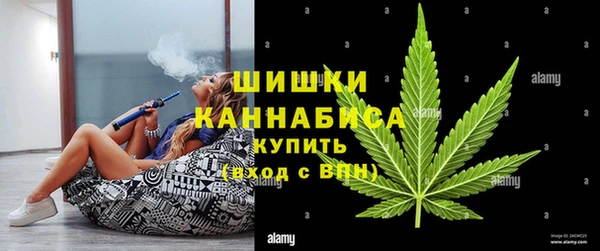 МДПВ Липки