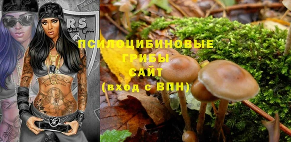 МДПВ Липки