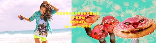 МДПВ Липки