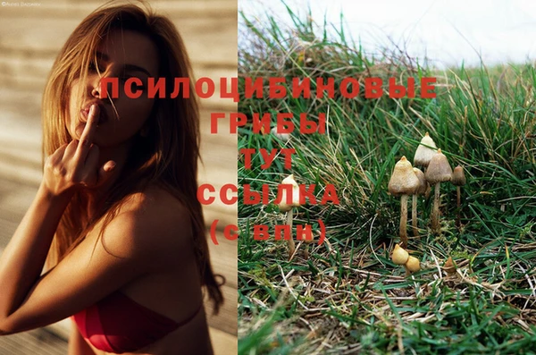 МДПВ Липки