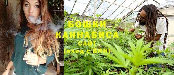 МДПВ Липки