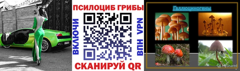 Галлюциногенные грибы GOLDEN TEACHER купить наркоту Смоленск