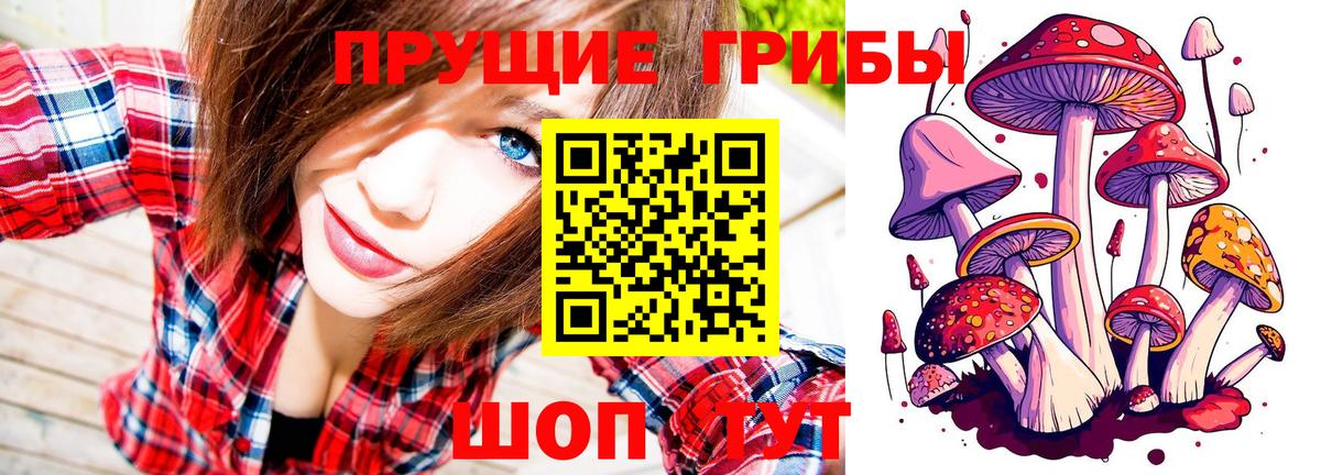 Смоленск  Галлюциногенные грибы Magic Shrooms  Вход с VPN 